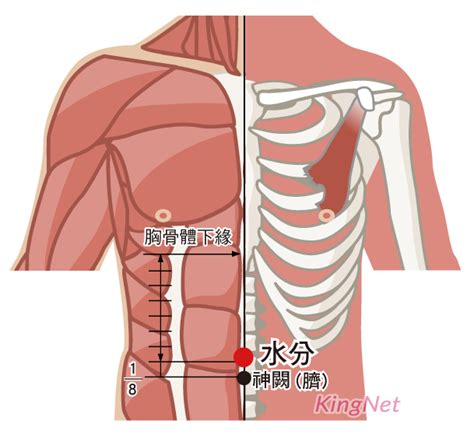 排水穴位|【按按穴位。完美圖解】水分穴